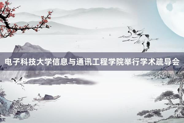 电子科技大学信息与通讯工程学院举行学术疏导会