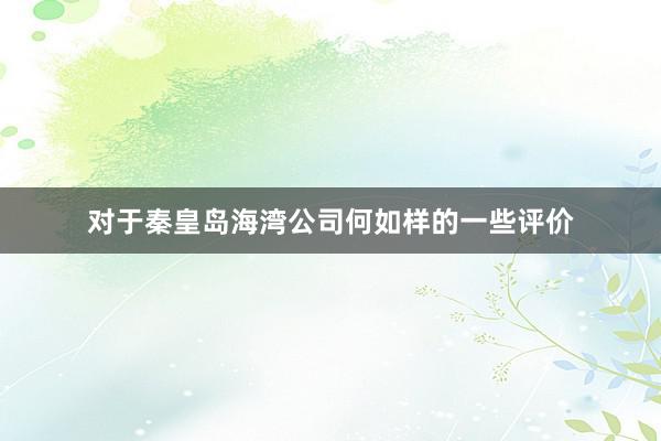 对于秦皇岛海湾公司何如样的一些评价
